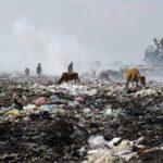 Three Years After City Status, Garbage Menace Threatens to Dim Eldoret’s Shine