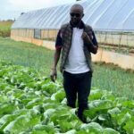 Uasin Gishu Sets Aside KSh958 Million for Agriculture and Agribusiness